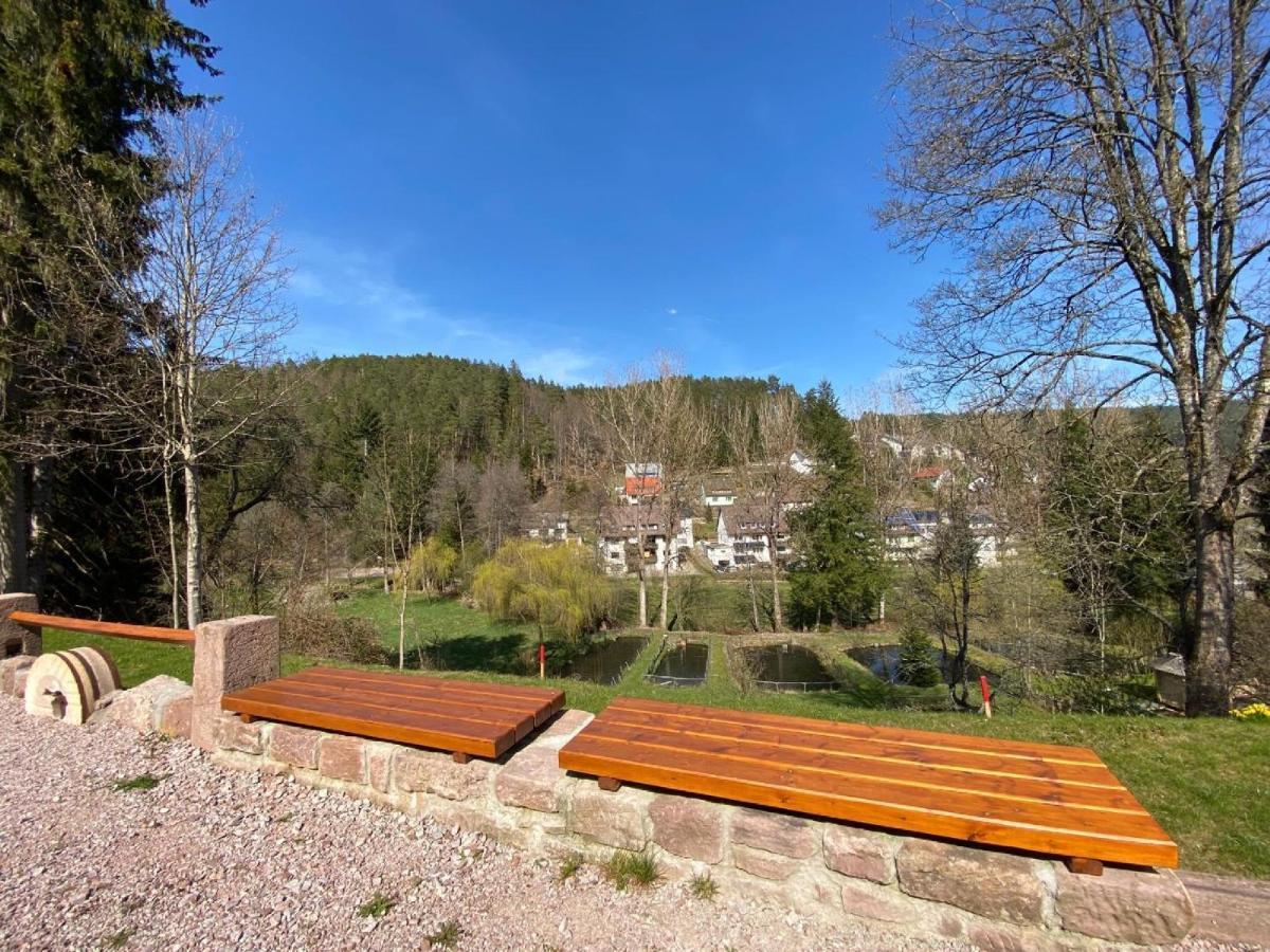Ferienappartements-Ferienwohnung Steige Schramberg Exterior photo