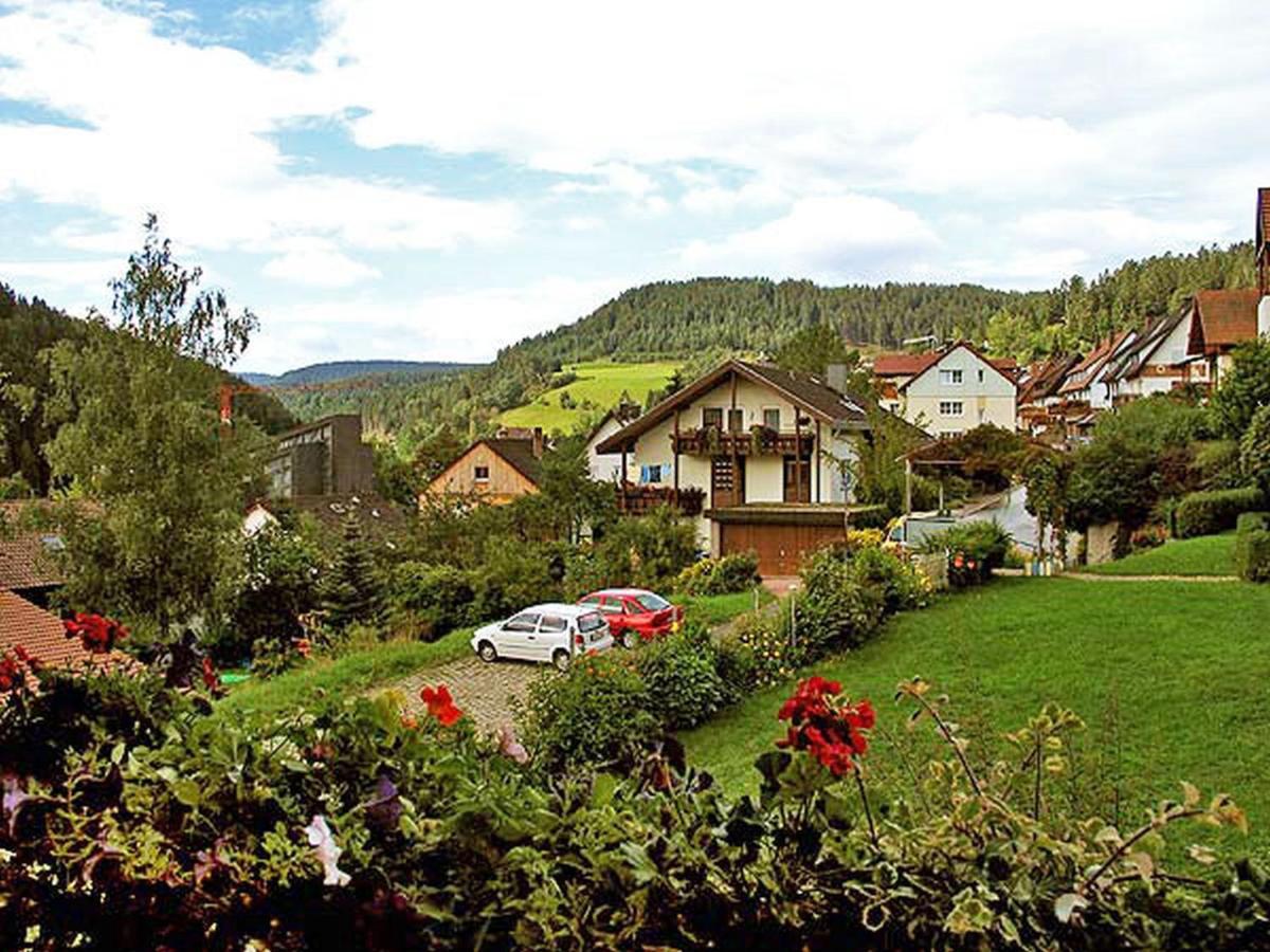 Ferienappartements-Ferienwohnung Steige Schramberg Exterior photo